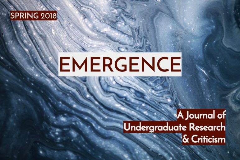journal emergence cameroun